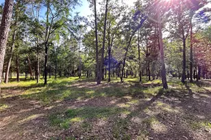 3236 Farm Rd 3019, Winnsboro, TX 75494 - Photo 7