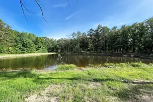 3236 Farm Rd 3019, Winnsboro, TX 75494 - Photo 25