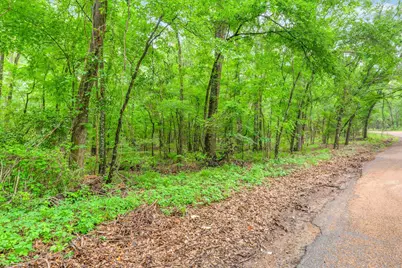 Tbd Vz County Road 2205, Canton, TX 75103 - Photo 11