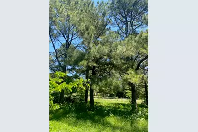 2031 Private Road 1183, Farmersville, TX 75442 - Photo 19