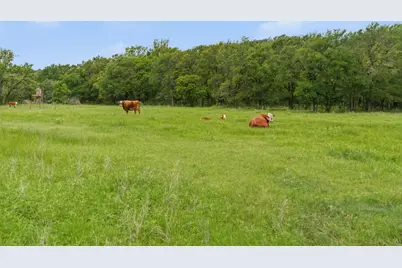 Tbd Old Postoak Road, Bowie, TX 76230 - Photo 25