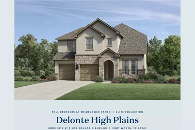 856 Mountain Aloe Drive, Fort Worth, TX 76247 - Photo 1