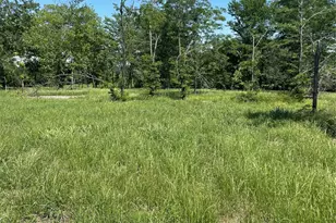 896 Blue Bird, Dodd City, TX 75438 - Photo 1