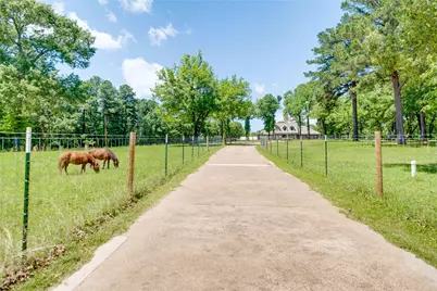 231 An County Road 2105, Palestine, TX 75801 - Photo 3