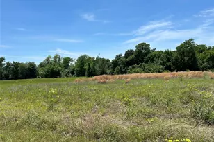 1187 Eagle Lake Dr, Wills Point, TX 75169 - Photo 1