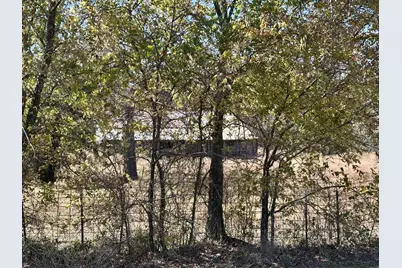 Tbd Pink Hill/State 56 E Highway, Bells, TX 75414 - Photo 19