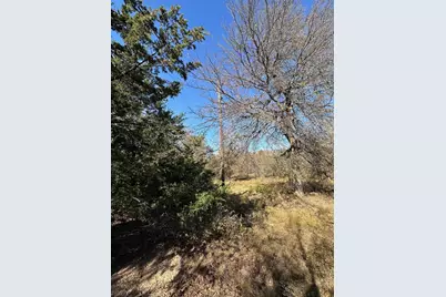 Tbd Pink Hill/State 56 E Highway, Bells, TX 75414 - Photo 7