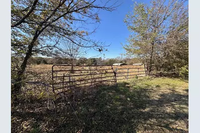 Tbd Pink Hill/State 56 E Highway, Bells, TX 75414 - Photo 3