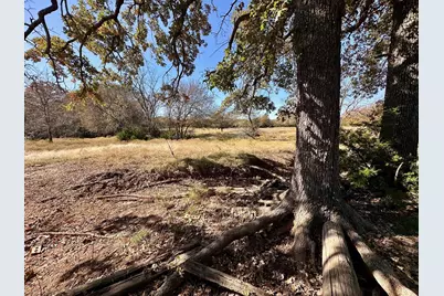Tbd Pink Hill/State 56 E Highway, Bells, TX 75414 - Photo 13