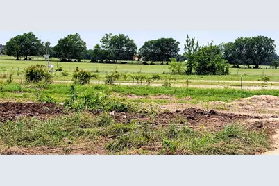 35 Ac Fm 1512, Donie, TX 75838 - Photo 9