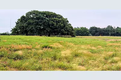 35 Ac Fm 1512, Donie, TX 75838 - Photo 15
