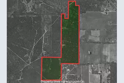Tba County Road 3824, Hawkins, TX 75765 - Photo 1
