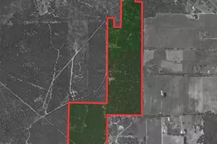000 Private Road 7832, Hawkins, TX 75765 - Photo 1