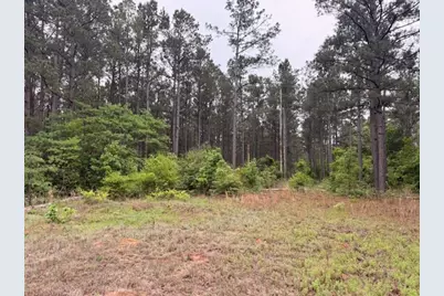 000 Private Road 7832, Hawkins, TX 75765 - Photo 27