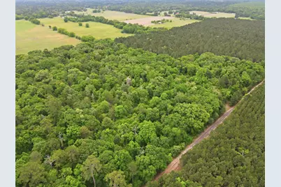 000 Private Road 7832, Hawkins, TX 75765 - Photo 5
