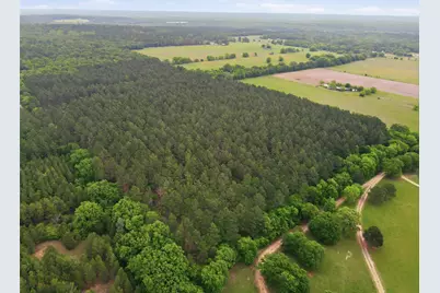 000 Private Road 7832, Hawkins, TX 75765 - Photo 13