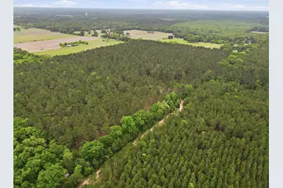 000 Private Road 7832, Hawkins, TX 75765 - Photo 9