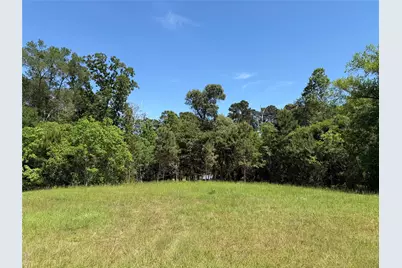 10196 County Road 3202, Chandler, TX 75758 - Photo 5