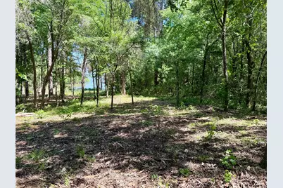 10196 County Road 3202, Chandler, TX 75758 - Photo 7