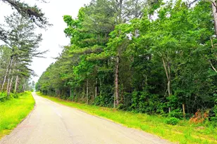 1931 Co Rd 4101, Jacksonville, TX 75766 - Photo 1