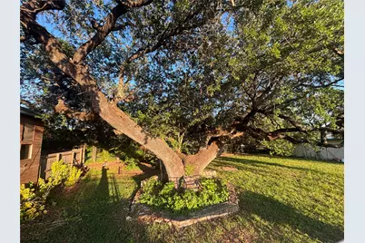 4913 Terlingua Drive, Granbury, TX 76048 - Photo 5