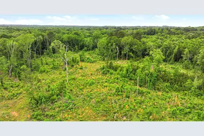 4249 Sh 42, Kilgore, TX 75662 - Photo 7