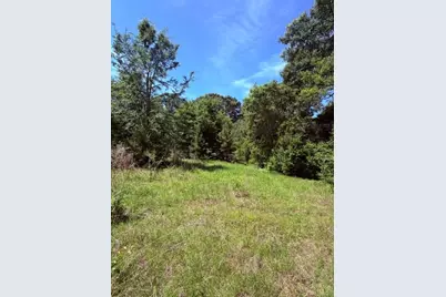 00 County Road 3105, Chandler, TX 75758 - Photo 7