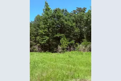 00 County Road 3105, Chandler, TX 75758 - Photo 15
