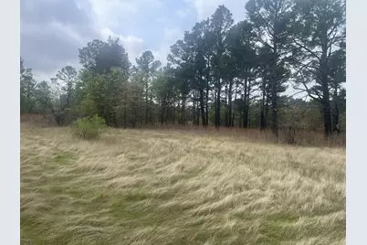 2548 County Road 2690, Alvord, TX 76225 - Photo 5