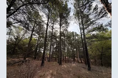 2548 County Road 2690, Alvord, TX 76225 - Photo 25
