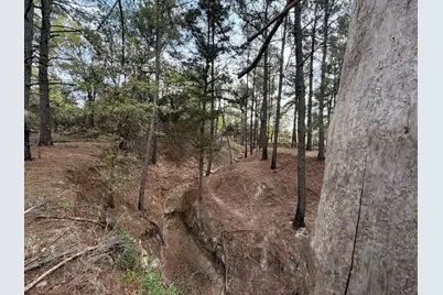2548 County Road 2690, Alvord, TX 76225 - Photo 27