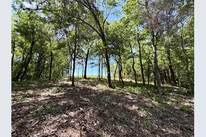 0000 County Road 3202, Chandler, TX 75758 - Photo 5