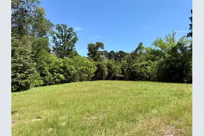 0000 County Road 3202, Chandler, TX 75758 - Photo 3