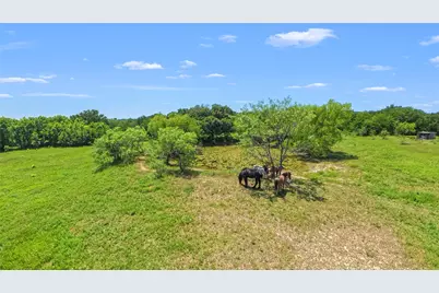 1561 Fm 80 N, Streetman, TX 75859 - Photo 17