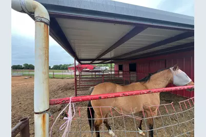 17777 Fm 920, Poolville, TX 76487 - Photo 37