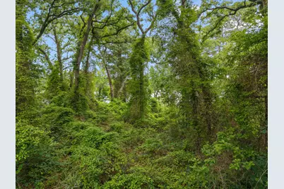 000 Camp Cypress Trail, Winnsboro, TX 75494 - Photo 31