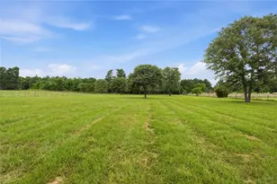 11219 Fm 317, Murchison, TX 75778 - Photo 9