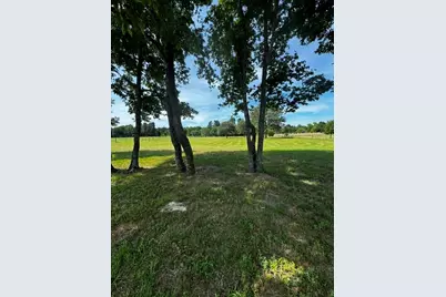 11219 Fm 317, Murchison, TX 75778 - Photo 3