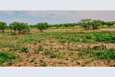 13558 County Road 440, Merkel, TX 79536 - Photo 7
