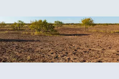 13558 County Road 440, Merkel, TX 79536 - Photo 15
