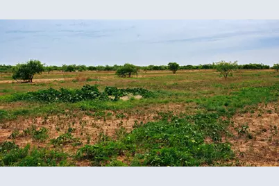 13558 A County Road 440, Merkel, TX 79536 - Photo 5