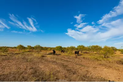 13558 A County Road 440, Merkel, TX 79536 - Photo 19