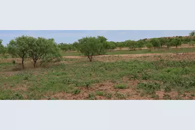 13558 A County Road 440, Merkel, TX 79536 - Photo 7