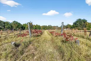 1603 Vz Cr 2908, Eustace, TX 75124 - Photo 19
