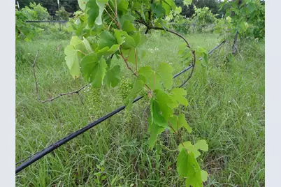 1603 Vz Cr 2908, Eustace, TX 75124 - Photo 23