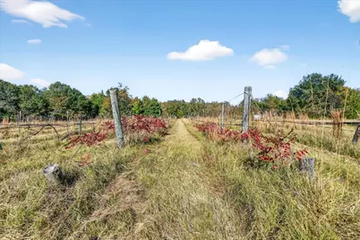 1603 Vz Cr 2908, Eustace, TX 75124 - Photo 21