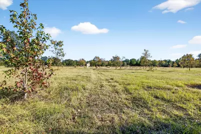 1603 Vz Cr 2908, Eustace, TX 75124 - Photo 23