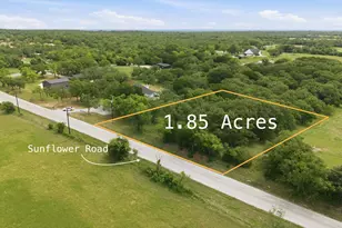 1999 Sunflower Rd, Paradise, TX 76073 - Photo 1
