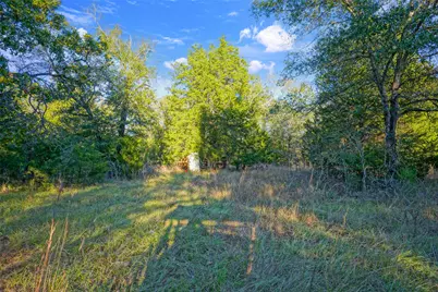 45 Acres County Road 930, Teague, TX 75860 - Photo 27