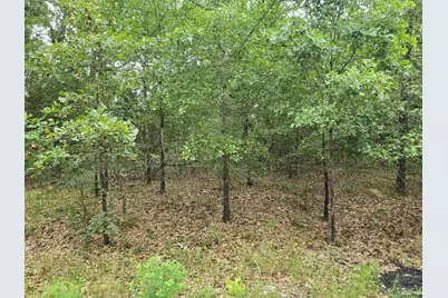 Lot 1007 Kickapoo Trail, Mabank, TX 75156 - Photo 5